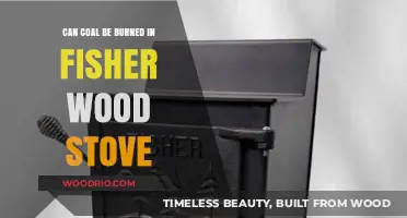 Exploring the Feasibility of Burning Coal in a Fisher Wood Stove