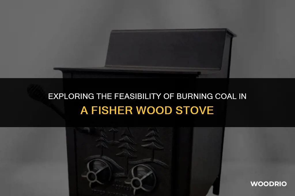 can coal be burned in fisher wood stove