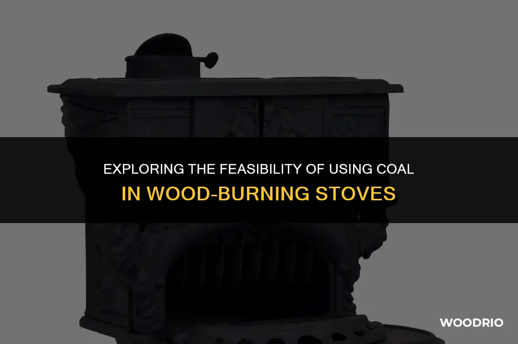 can coal go in wood burning stoves