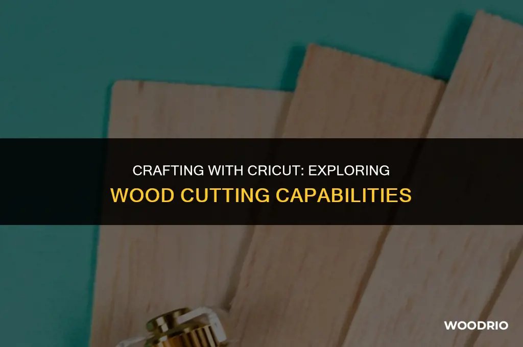 can cricut cut 1 4 wood