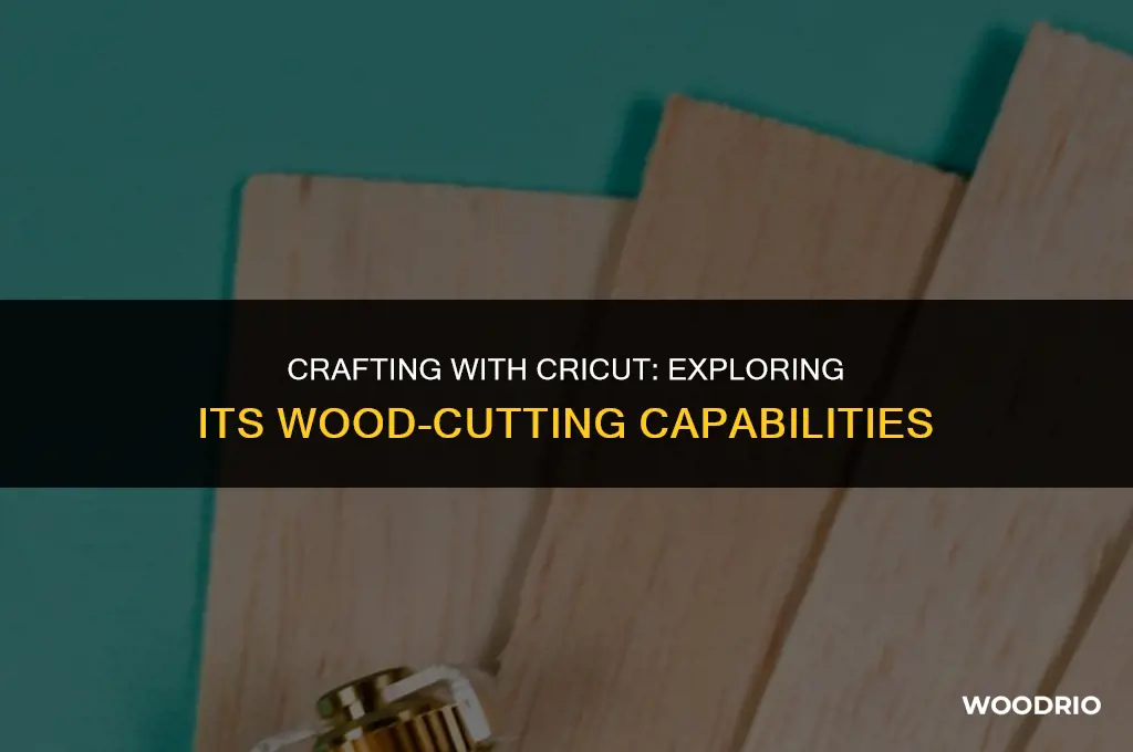 can cricut cut through wood