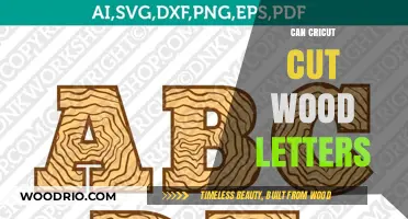 Crafting with Cricut: Exploring Wood Letter Cutting Capabilities