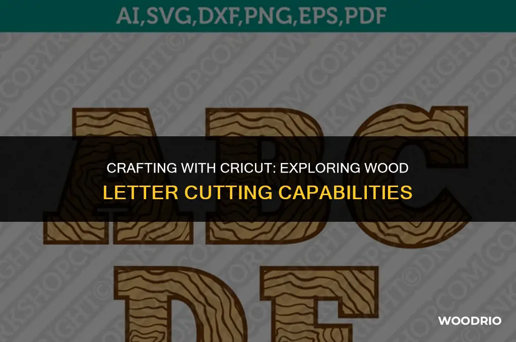 can cricut cut wood letters