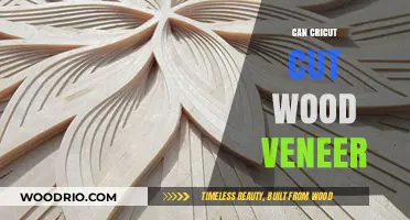 Crafting with Cricut: Exploring Wood Veneer Cutting Capabilities