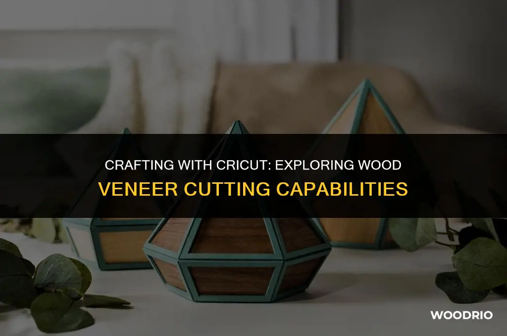 can cricut cut wood veneer