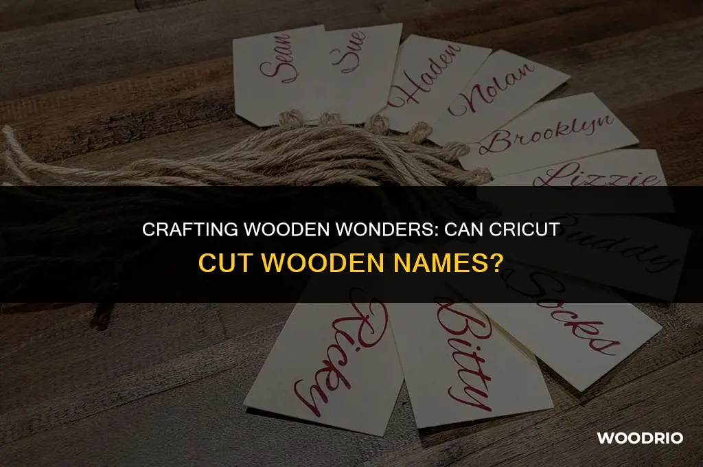 can cricut cut wooden names