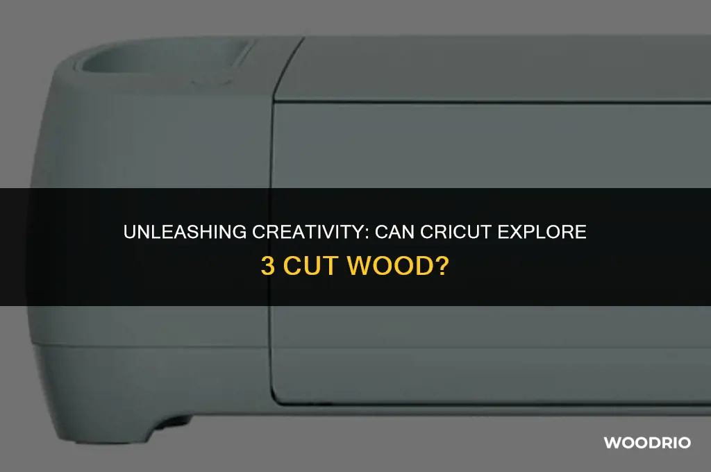 can cricut explore 3 cut wood