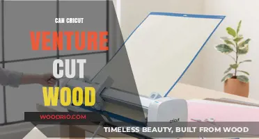 Unleashing Creativity: Can Cricut Venture Cut Wood?