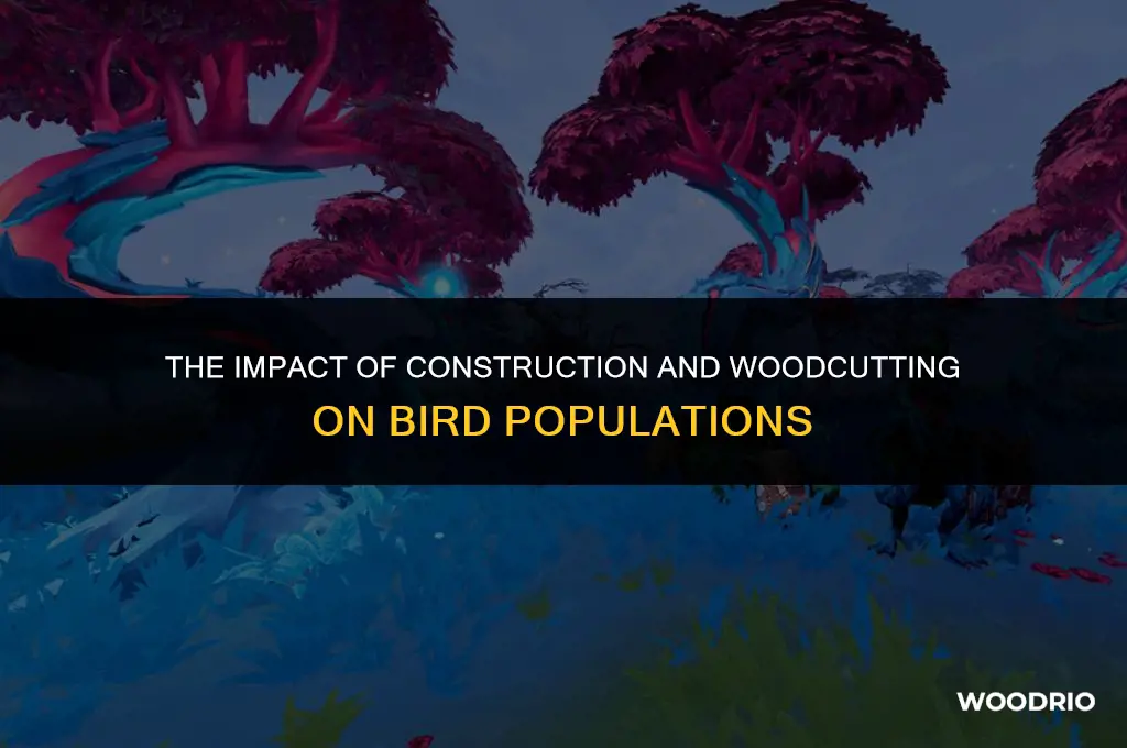 can custruction and cutting wood kill a bird