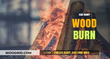 Exploring the Combustibility of Damp Wood: Facts and Myths