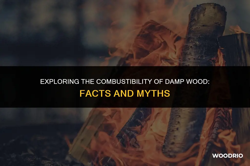 can damp wood burn