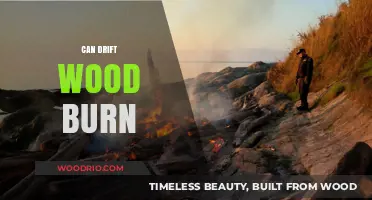 Exploring the Combustibility of Driftwood: A Comprehensive Guide