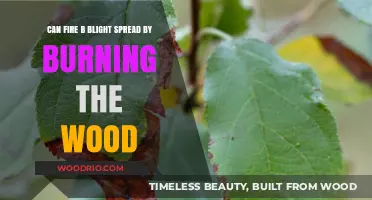 Combating Fire Blight: The Impact of Burning Wood on Spread
