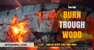 Exploring the Combustibility of Wood: Can Fire Truly Burn Through It?