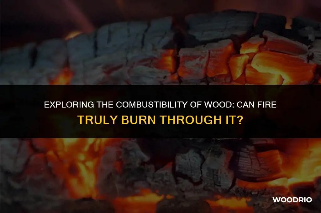 can fire burn trough wood