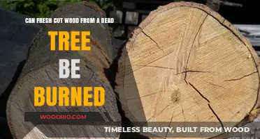 Reviving the Warmth: Burning Freshly Cut Wood from Dead Trees