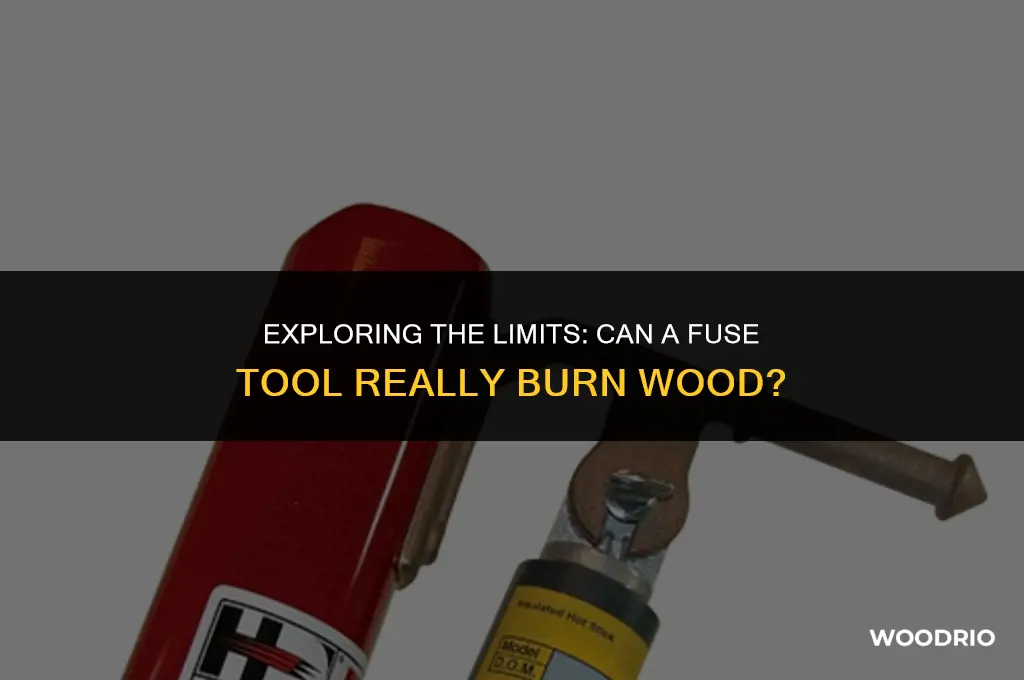 can fuse tool burn wood