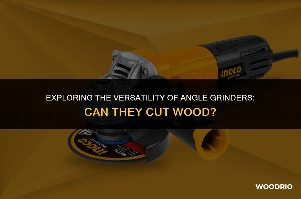 can grinder cut wood