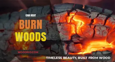 Exploring the Combustibility of Wood: Can Heat Alone Ignite?