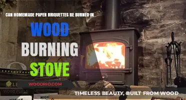 Eco-Friendly Heating: Burning Homemade Paper Briquettes in Wood Stoves