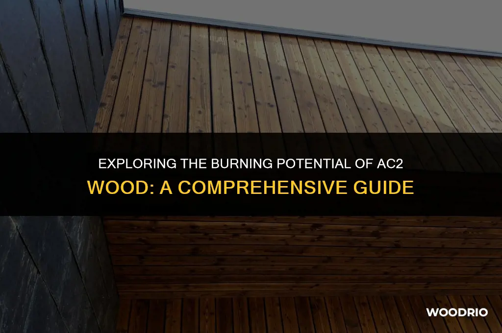 can i burn ac2 wood