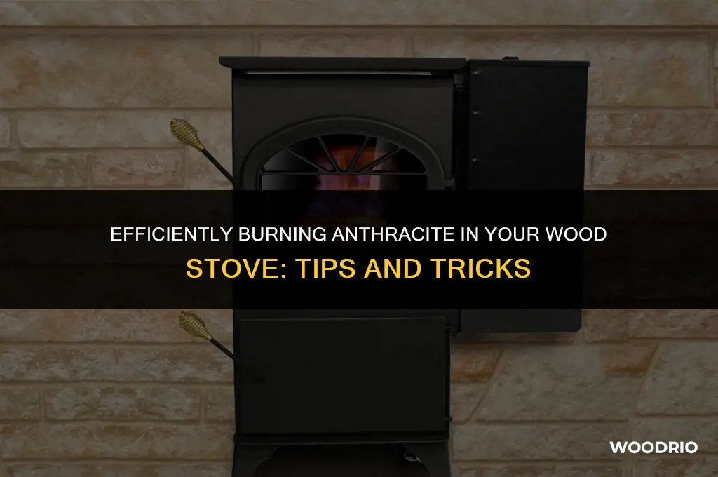 can i burn anthracite in a wood stove