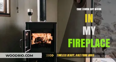 Eco-Friendly Fireplace Tips: What Wood Can You Safely Burn?