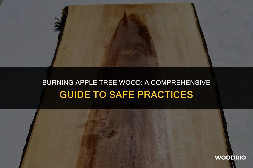 can i burn apple tree wood