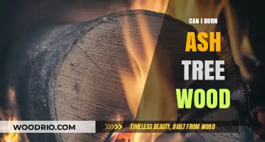 Exploring the Pros and Cons of Burning Ash Tree Wood