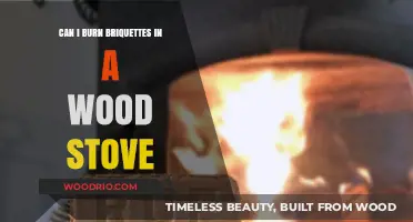 Eco-Friendly Heating: Can Briquettes Replace Wood in Your Stove?