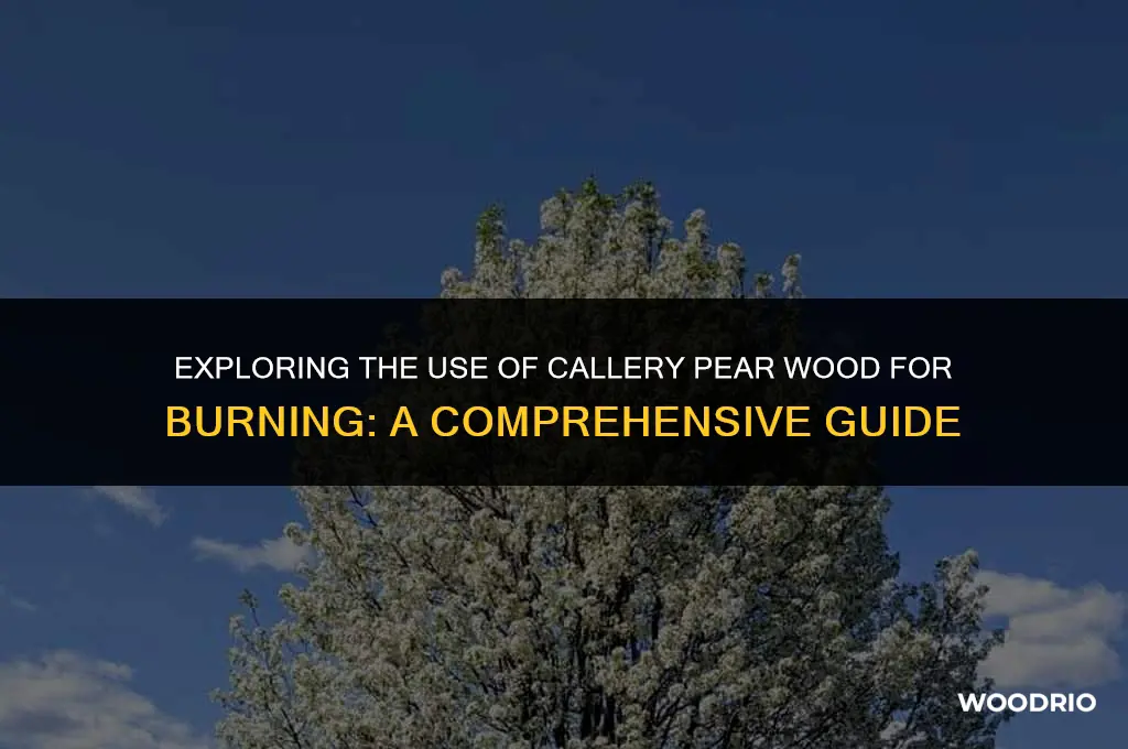 can i burn callery pear wood