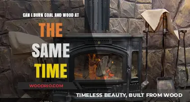 Eco-Friendly Heating: Can You Burn Coal and Wood Together?