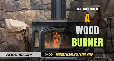 Exploring Alternatives: Can Coal Be Burned in a Wood Stove?