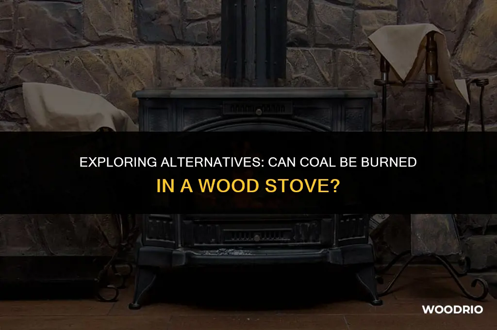 can i burn coal in a wood burner
