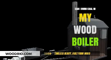 Exploring Alternatives: Can Coal Be Used in a Wood Boiler?