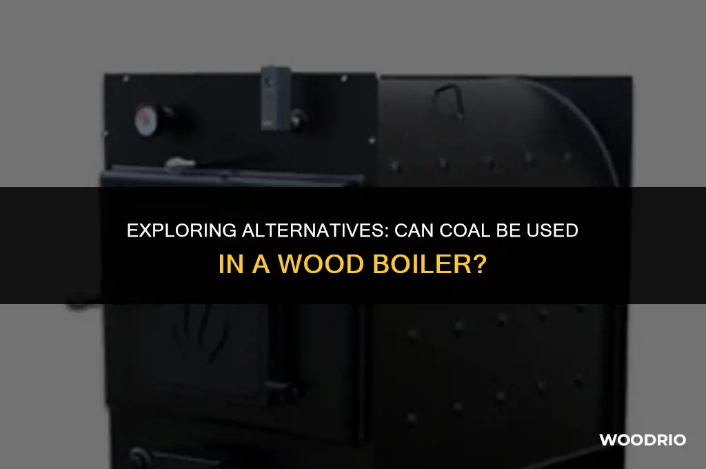can i burn coal in my wood boiler