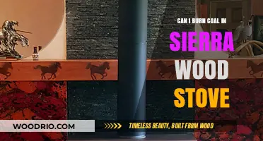 Eco-Friendly Heating: Can You Burn Coal in a Sierra Wood Stove?