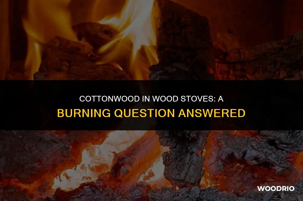 can i burn cottonwood in my wood stove