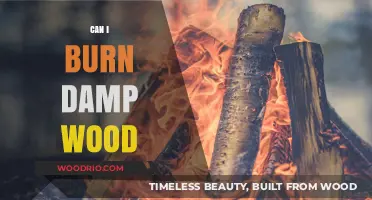 Exploring the Challenges: Can You Really Burn Damp Wood?