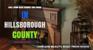 Hillsborough County's Guide to Safely Burning Dead Orange Tree Wood