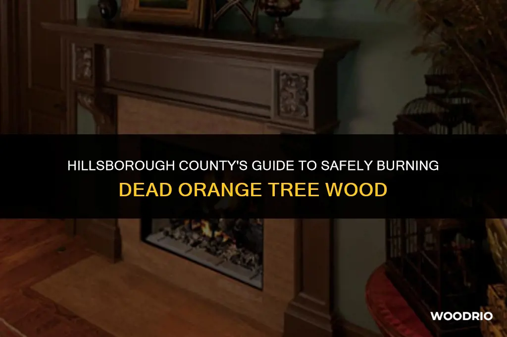 can i burn dead orange tree wood in hillsborough county