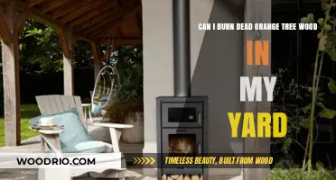 Safely Burning Dead Orange Tree Wood in Your Yard: A Guide