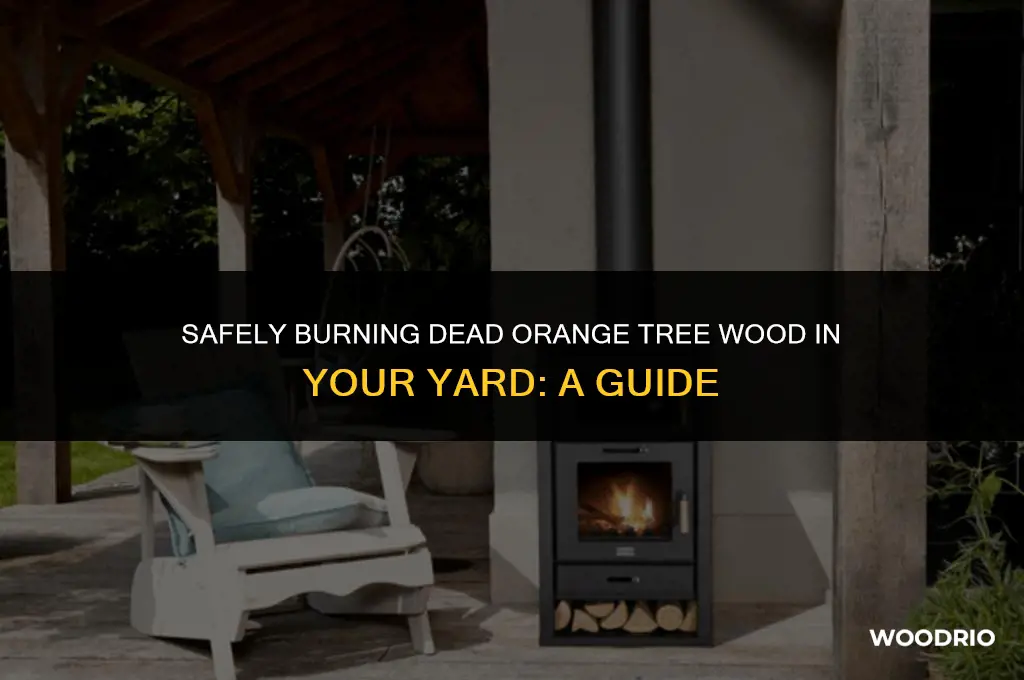 can i burn dead orange tree wood in my yard