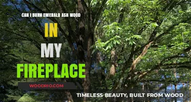 Emerald Ash Wood: A Safe and Sustainable Fireplace Choice?