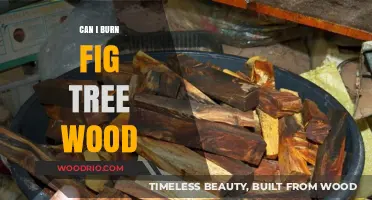 Exploring the Unique Qualities of Fig Tree Wood for Burning