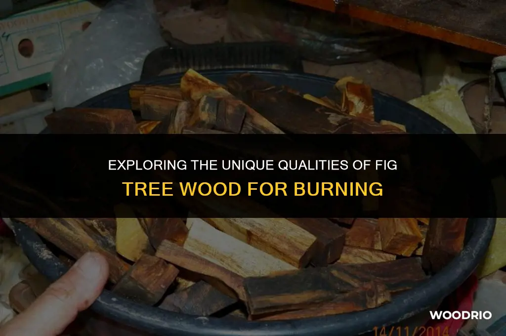 can i burn fig tree wood