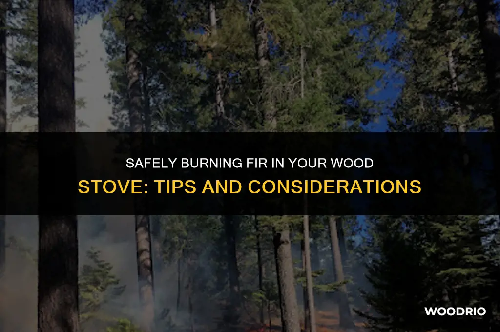 can i burn fir in my wood stove