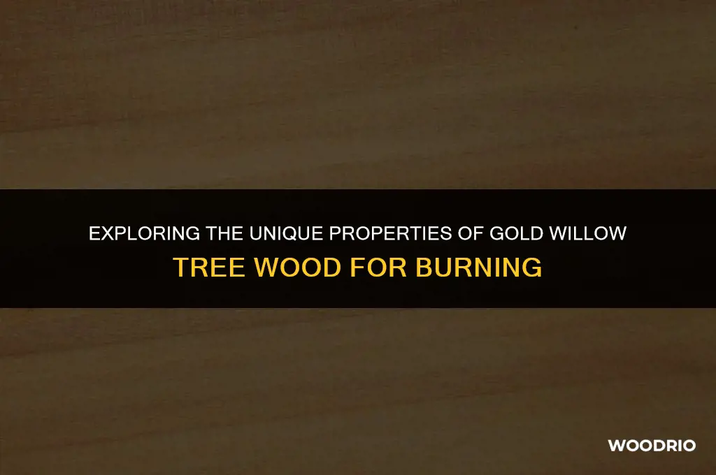 can i burn gold willow tree wood