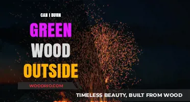 Eco-Friendly Bonfire: The Truth About Burning Green Wood Outdoors