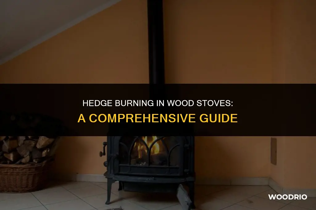can i burn hedge in wood stove